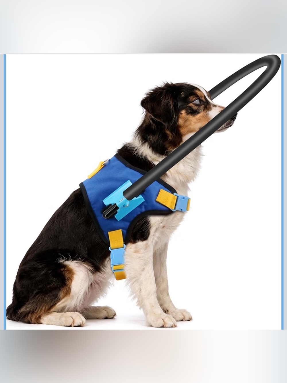 Adjustable Blue Dog Harness with Yellow Accents